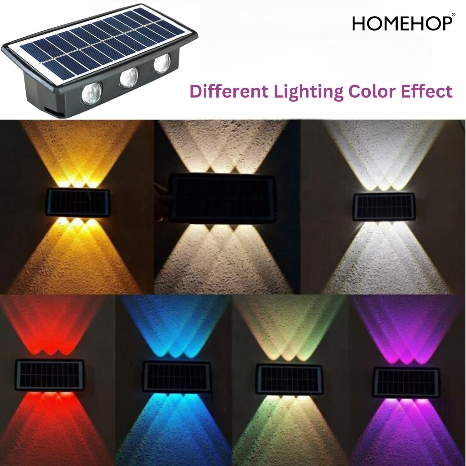 Homehop Solar Light Outdoor Waterproof Up and Down 6 Led Wall Lamp, for Home Decor, Garden, Courtyard, & Balcony Decoration with Auto On Off (Abs...